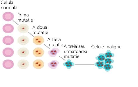 Profil trombofilii ereditare / 15 mutatii genetice